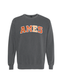 Applique Crewneck